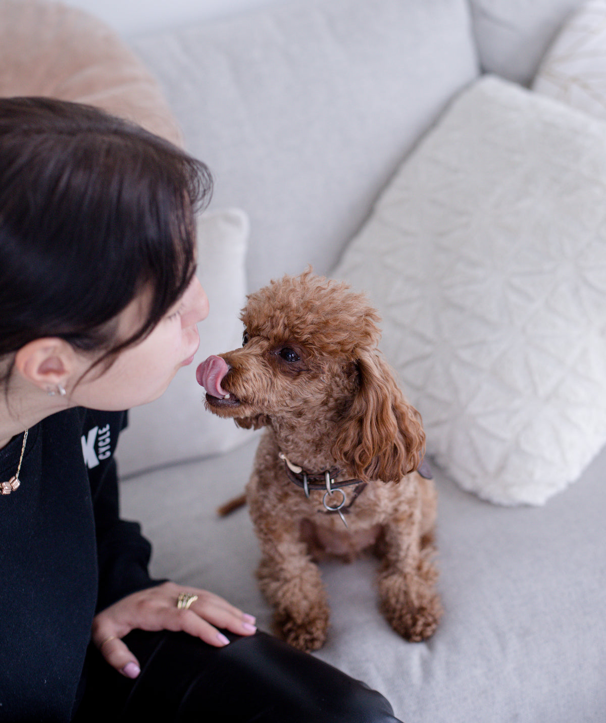 person-and-puppy-look-at-eachother.jpg